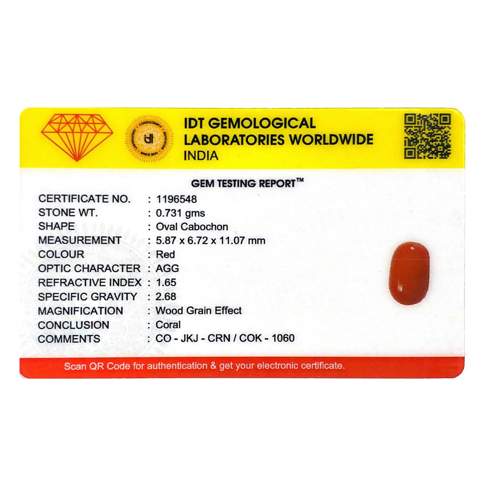 Red Coral - 3.66 Carat