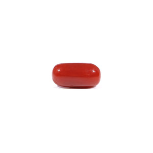 Red Coral - 3.33 Carat - Pramogh