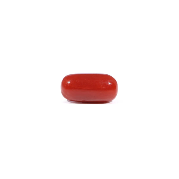 Red Coral - 3.33 Carat - Pramogh