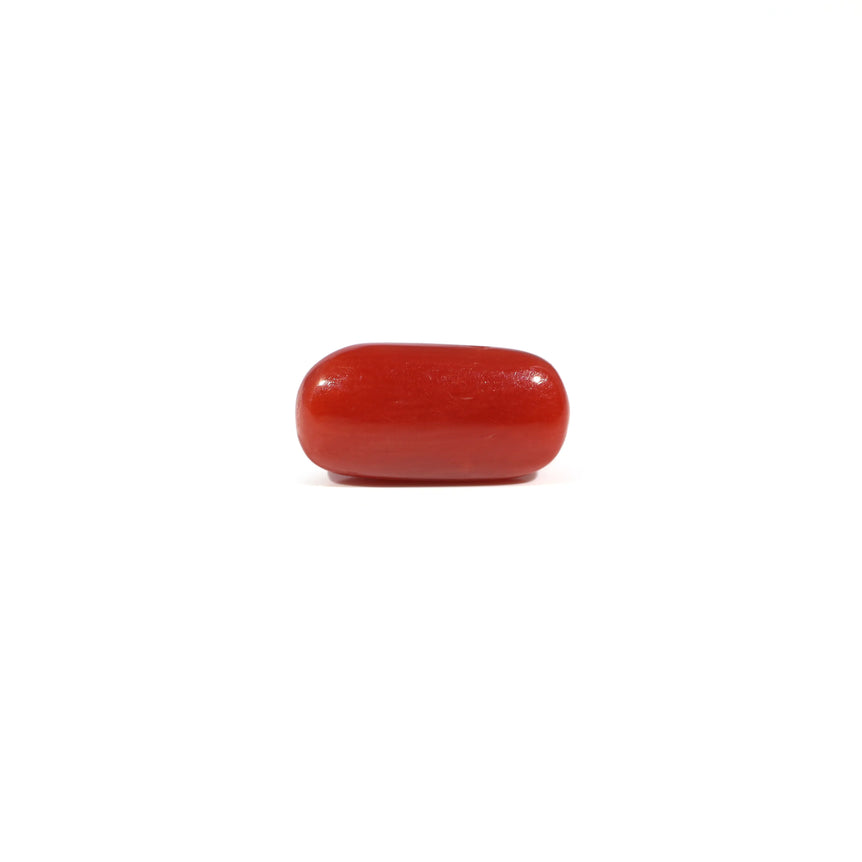 Red Coral - 3.33 Carat