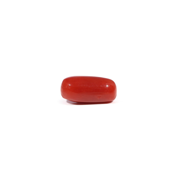 Red Coral - 3.33 Carat