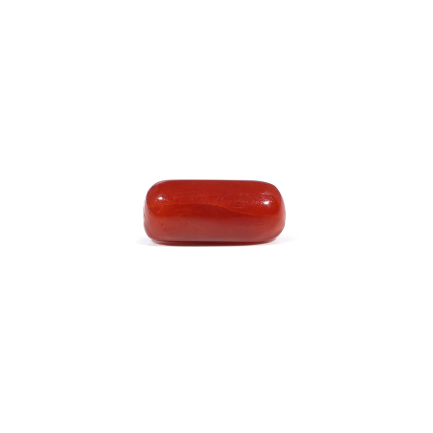 Red Coral - 3.6 Carat - Pramogh