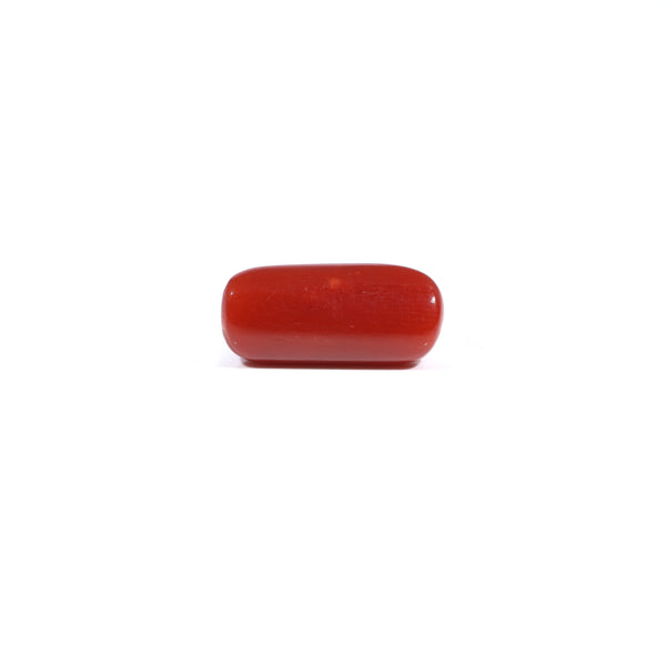 Red Coral - 3.6 Carat