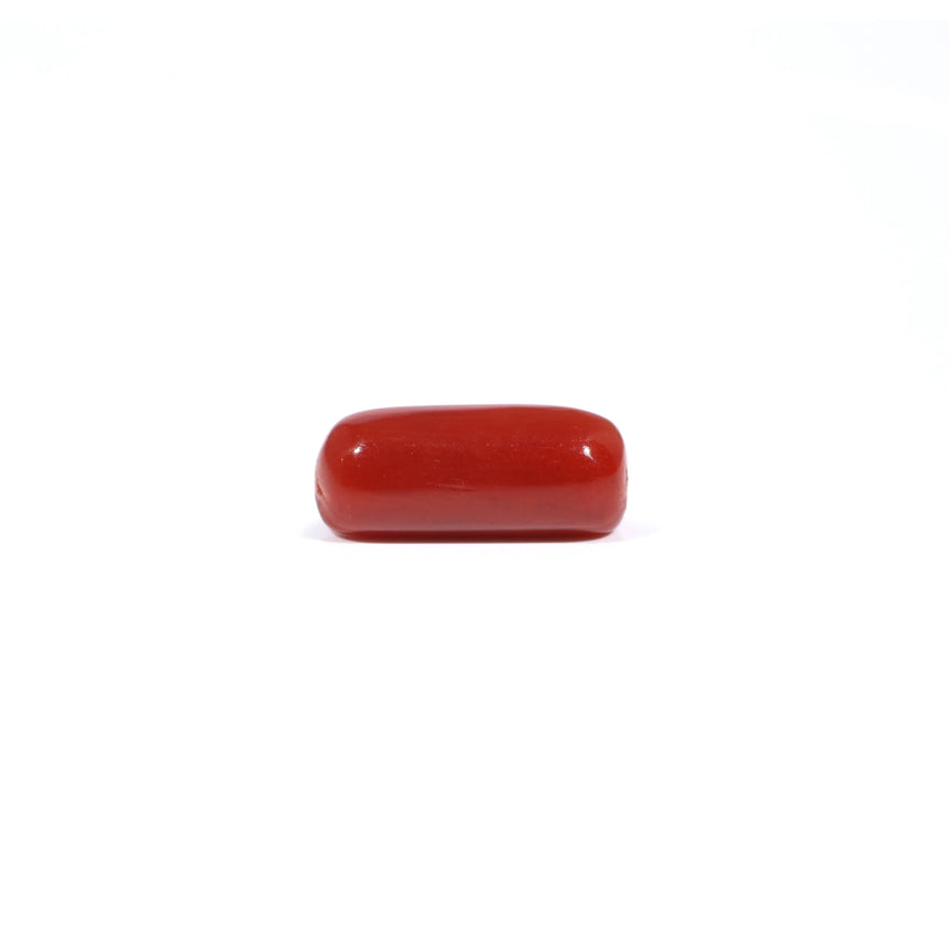 Red Coral - 3.6 Carat