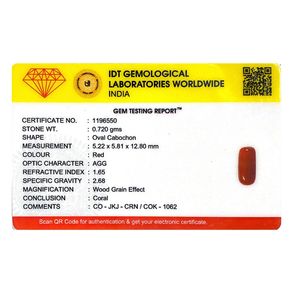 Red Coral - 3.6 Carat