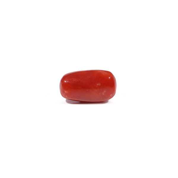 Red Coral - 3.77 Carat