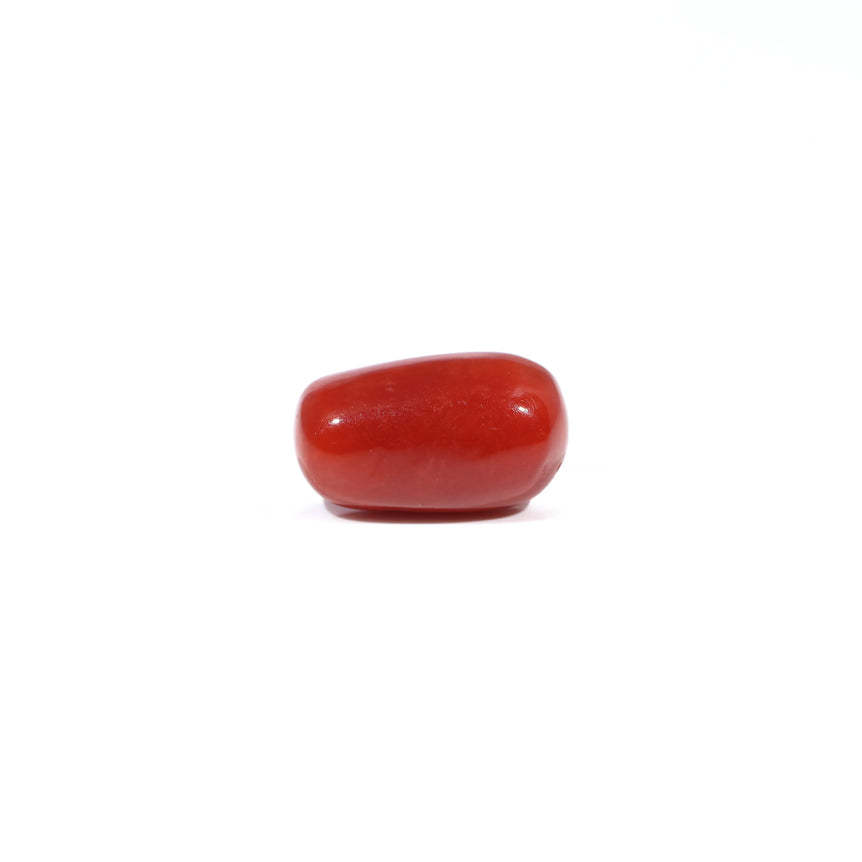 Red Coral - 3.77 Carat