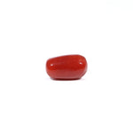 Red Coral - 3.77 Carat
