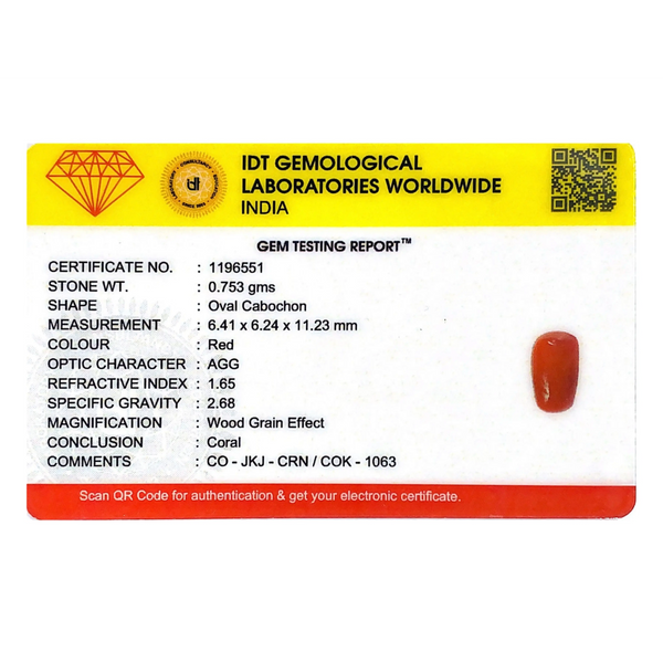 Red Coral - 3.77 Carat