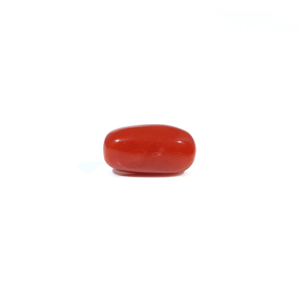 Red Coral - 3.48 Carat - Pramogh