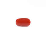 Red Coral - 3.48 Carat