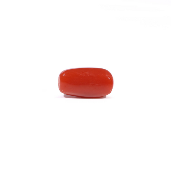 Red Coral - 3.48 Carat