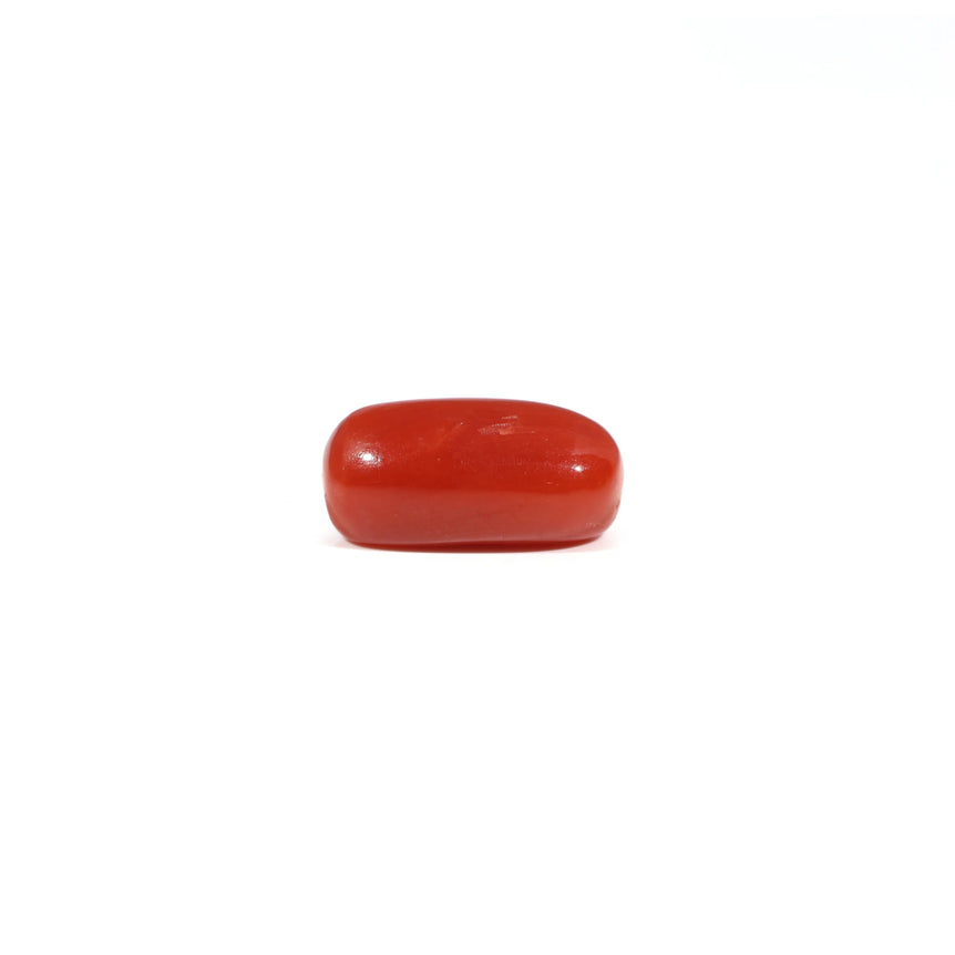 Red Coral - 3.48 Carat