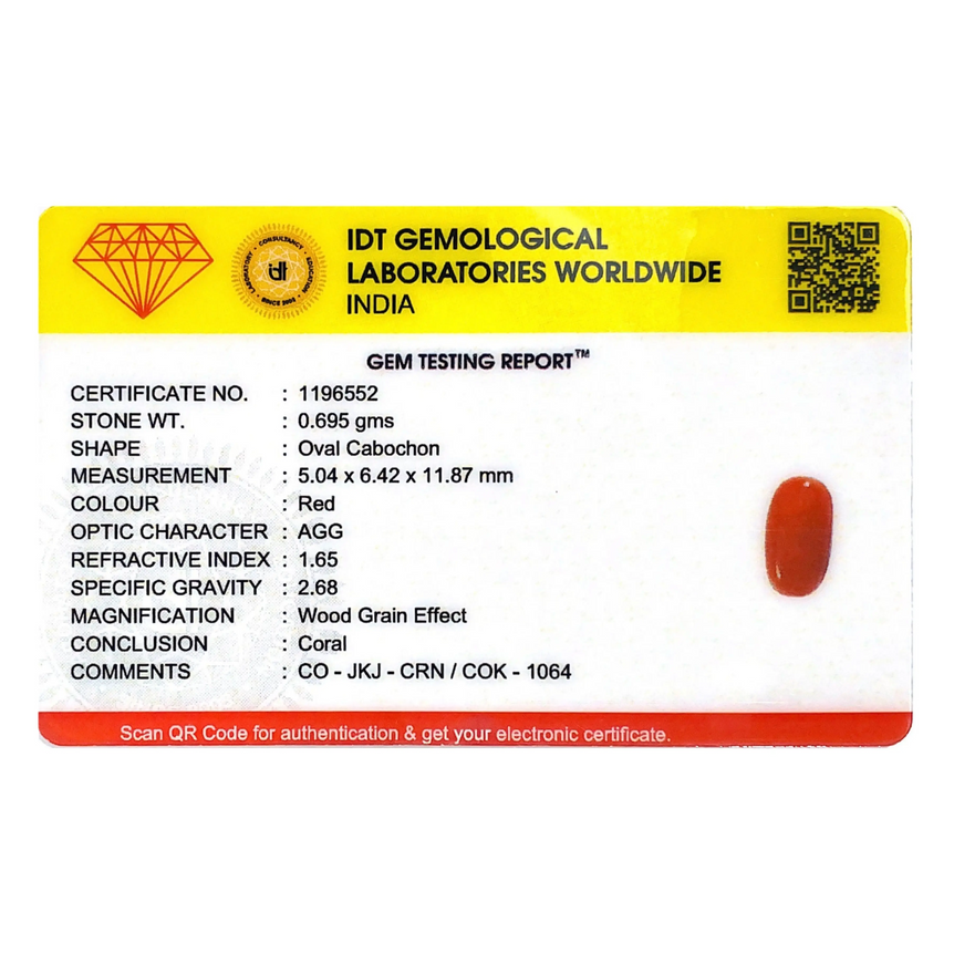 Red Coral - 3.48 Carat