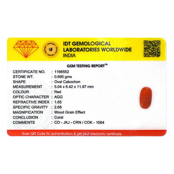 Red Coral - 3.48 Carat