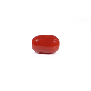 Red Coral - 3.18 Carat - Pramogh
