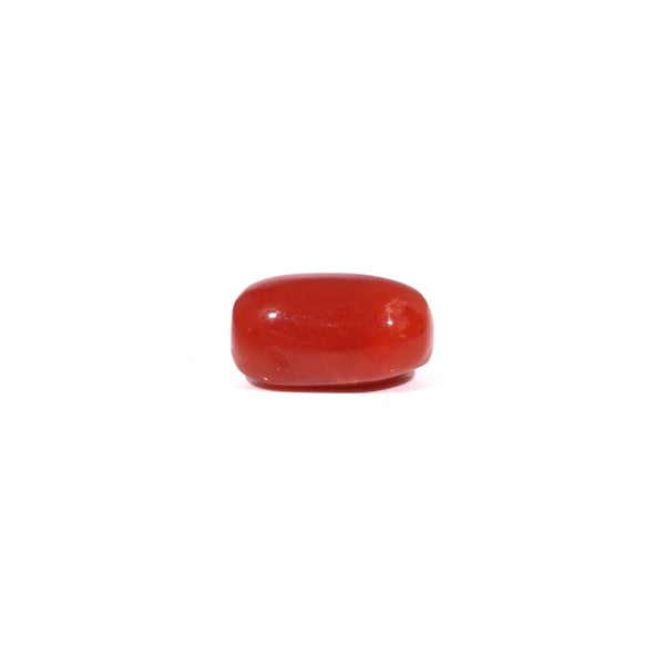 Red Coral - 3.18 Carat