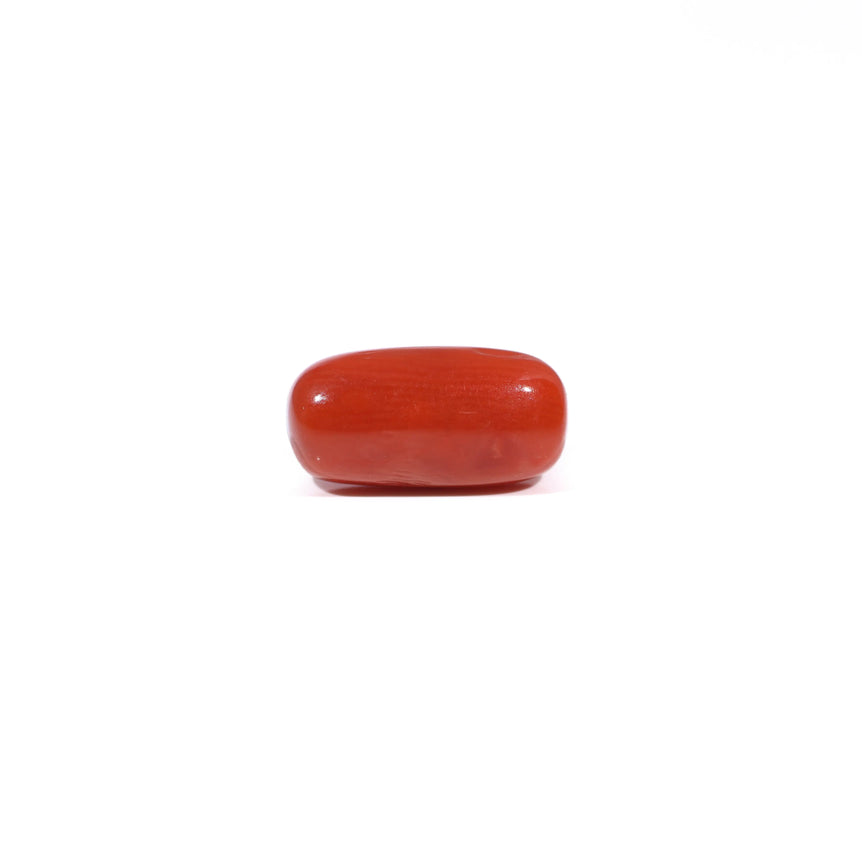 Red Coral - 3.61 Carat - Pramogh