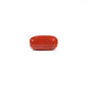 Red Coral - 3.61 Carat - Pramogh