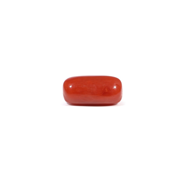 Red Coral - 3.61 Carat
