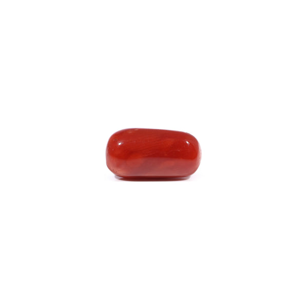 Red Coral - 3.42 Carat - Pramogh