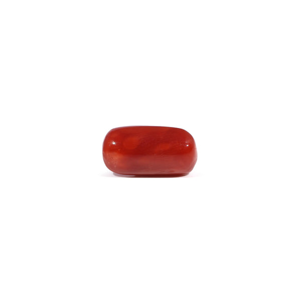 Red Coral - 3.42 Carat