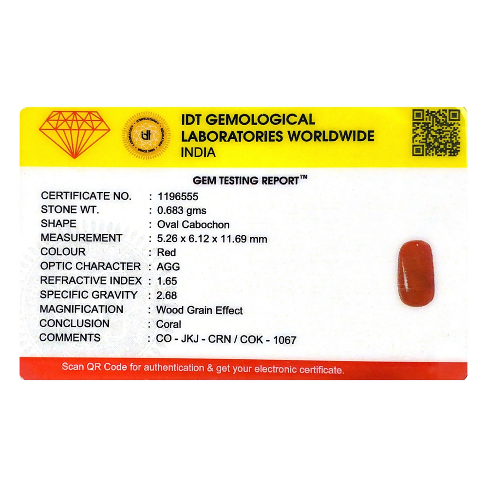 Red Coral - 3.42 Carat