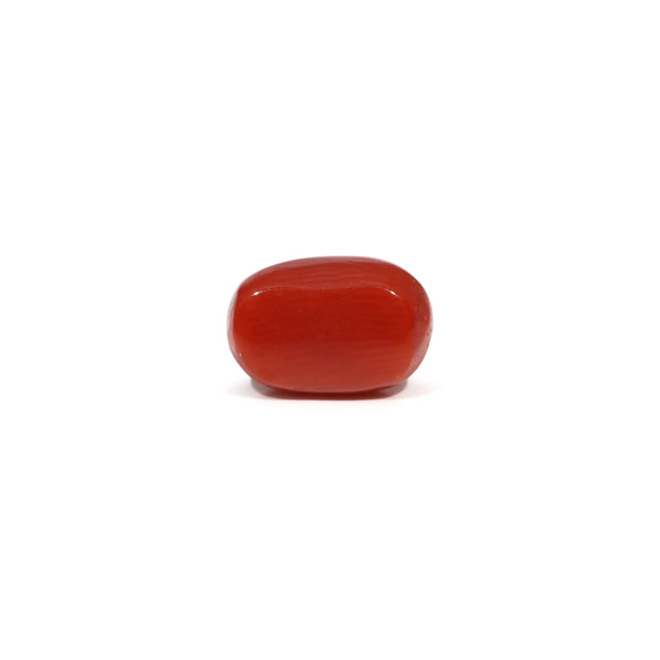 Red Coral - 3.03 Carat