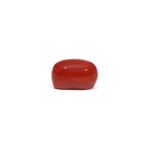 Red Coral - 3.03 Carat