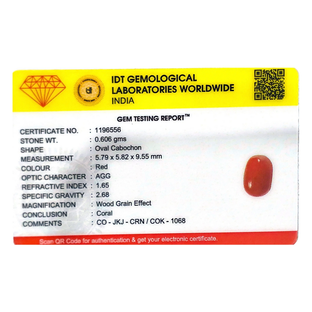 Red Coral - 3.03 Carat