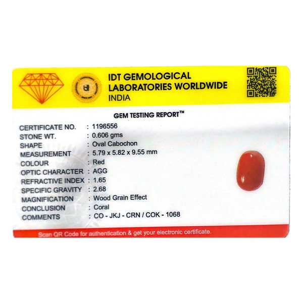 Red Coral - 3.03 Carat