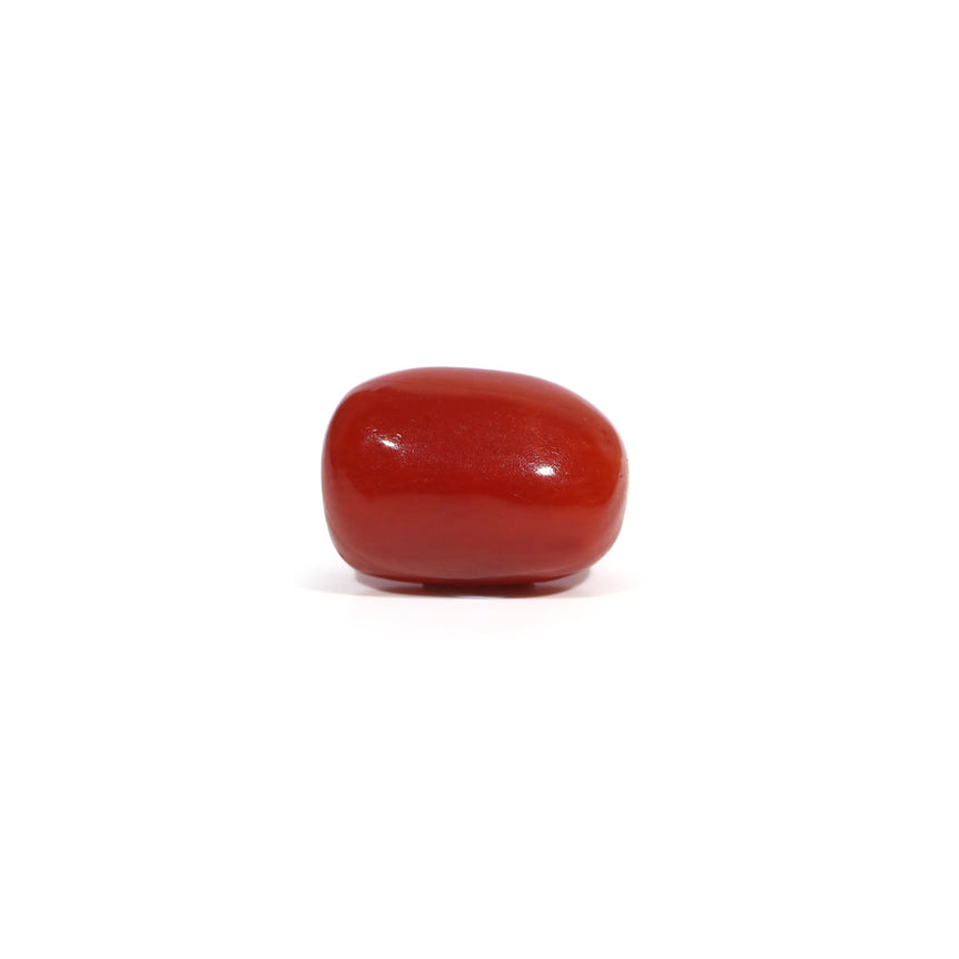Red Coral - 3.65 Carat - Pramogh