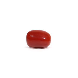 Red Coral - 3.65 Carat - Pramogh