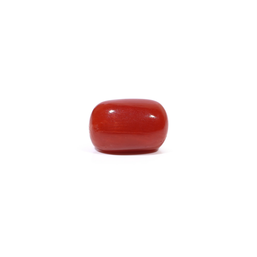 Red Coral - 3.65 Carat
