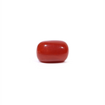 Red Coral - 3.65 Carat