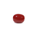 Red Coral - 2.84 Carat - Pramogh