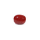 Red Coral - 2.84 Carat - Pramogh