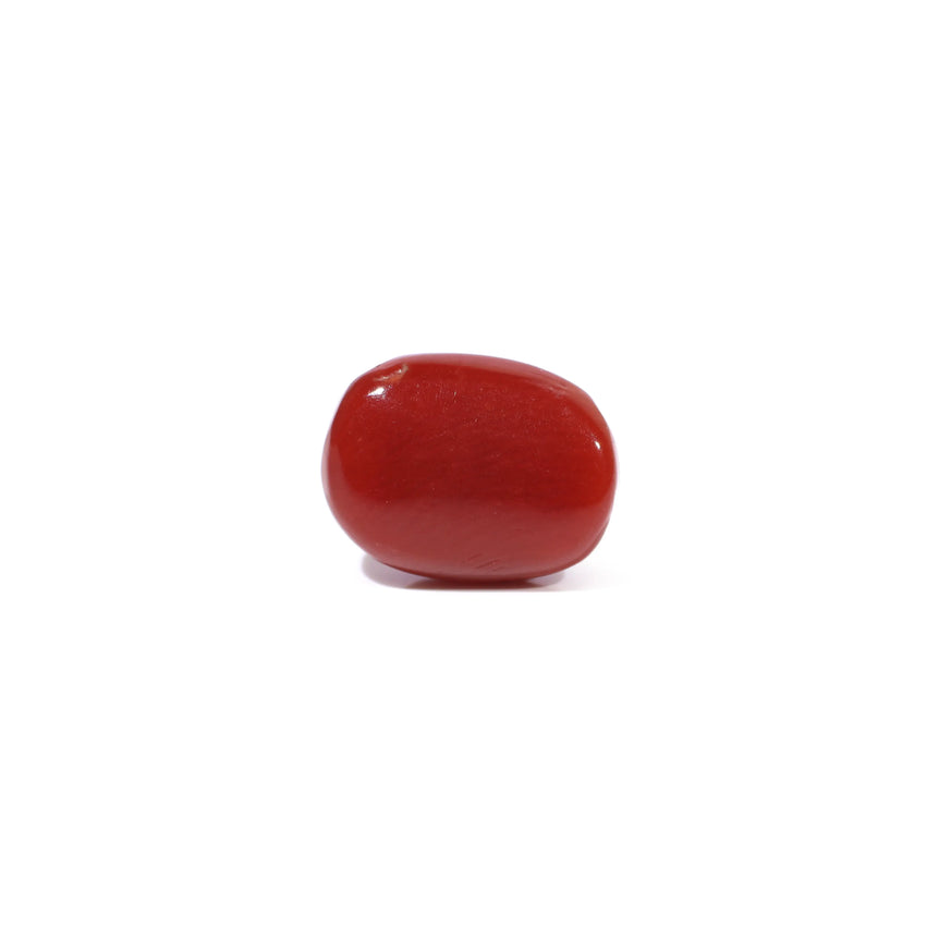 Red Coral - 2.84 Carat