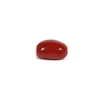 Red Coral - 2.84 Carat