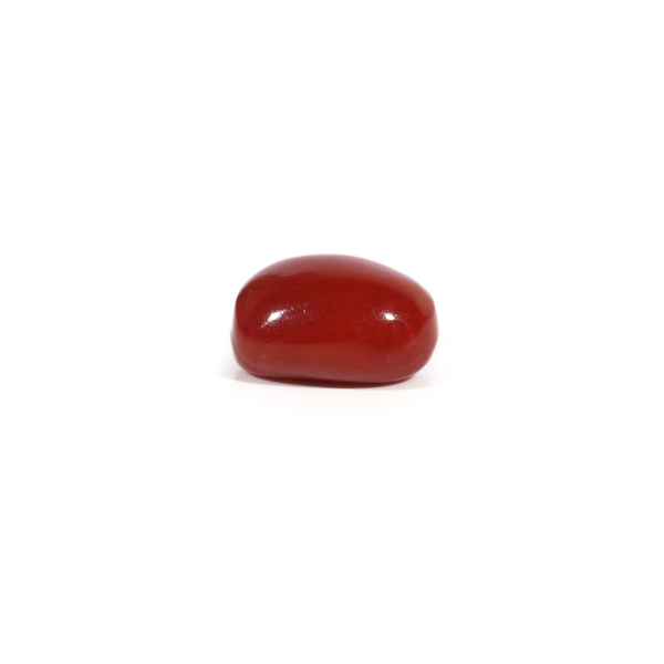 Red Coral - 2.84 Carat