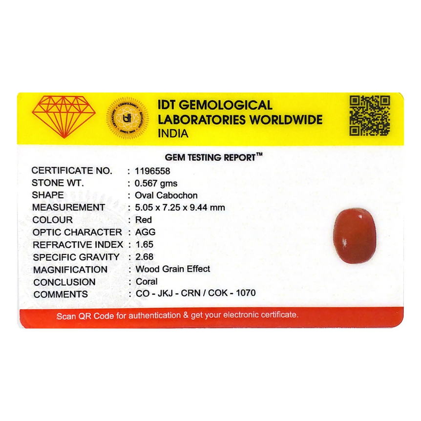 Red Coral - 2.84 Carat