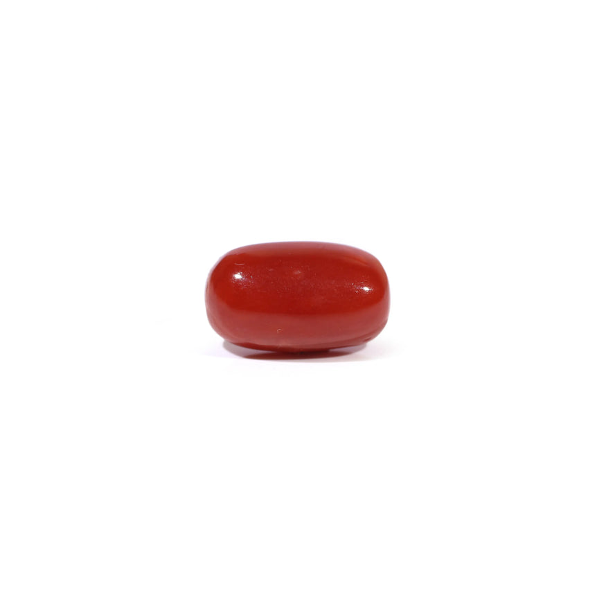 Red Coral - 3.62 Carat - Pramogh
