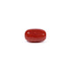 Red Coral - 3.62 Carat - Pramogh