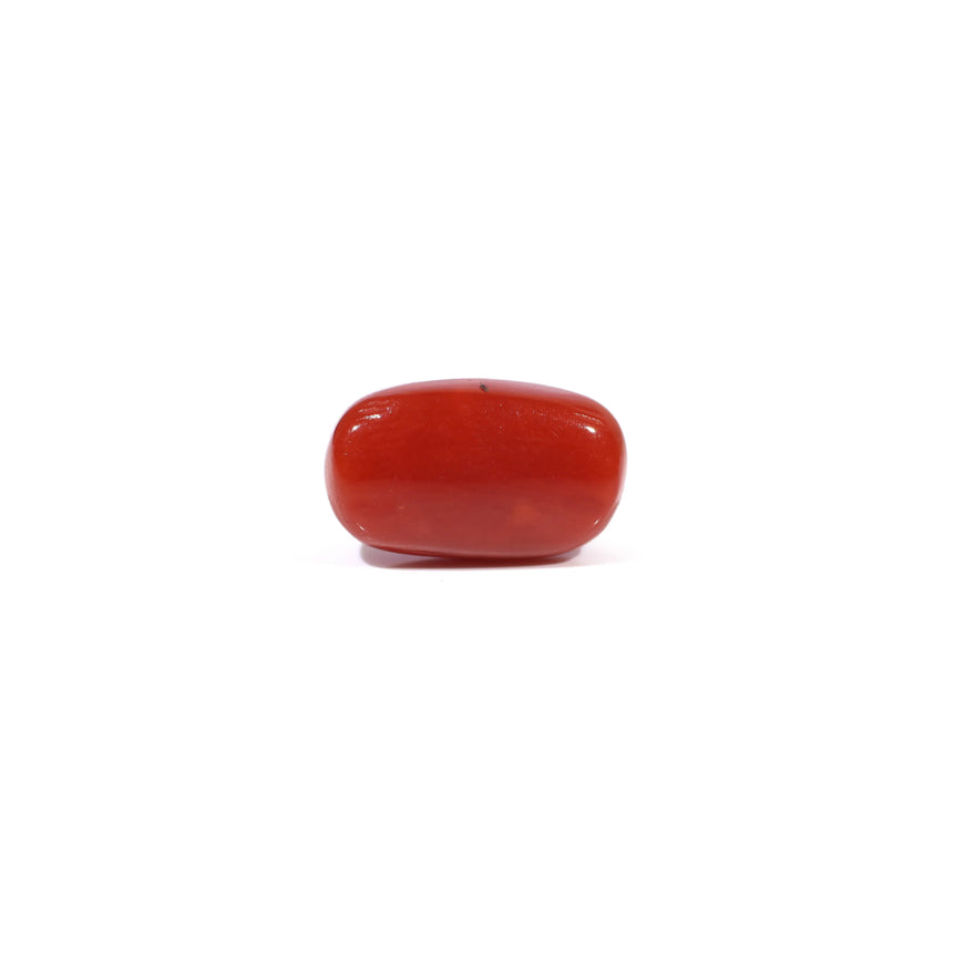 Red Coral - 3.62 Carat