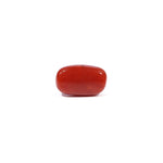Red Coral - 3.62 Carat