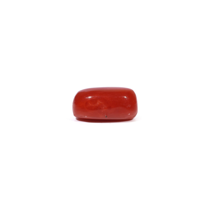 Red Coral - 3.62 Carat
