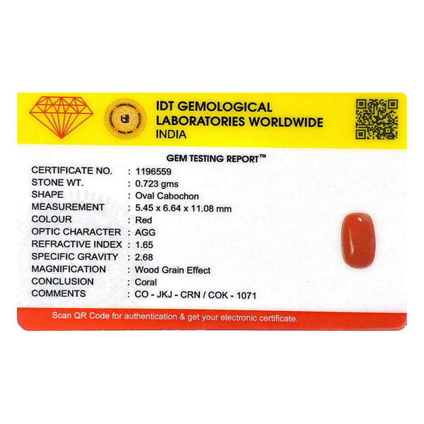 Red Coral - 3.62 Carat