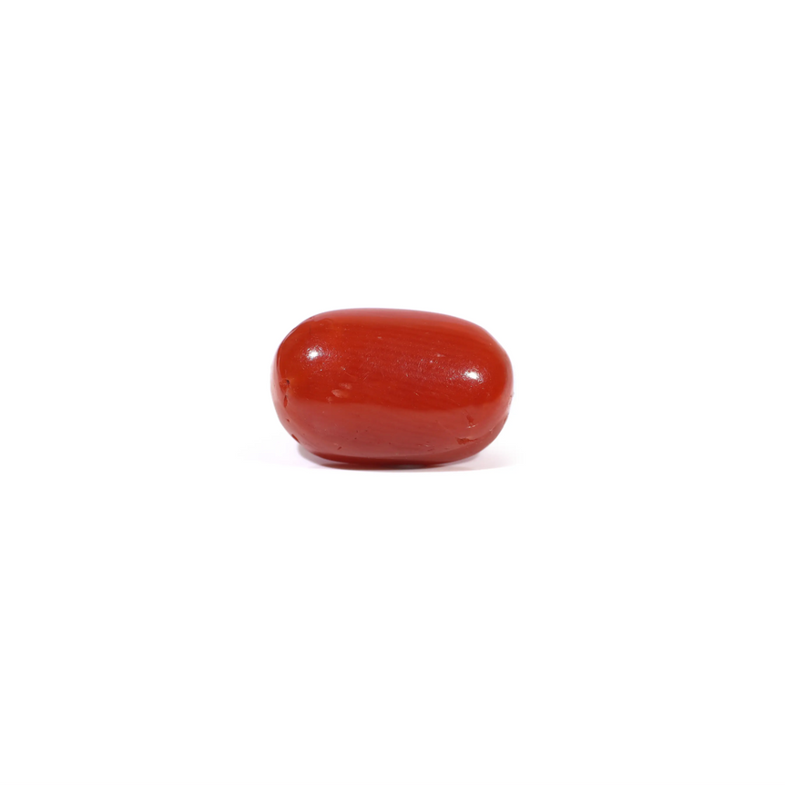 Red Coral - 3.6 Carat - Pramogh