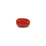 Red Coral - 3.6 Carat - Pramogh