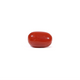 Red Coral - 3.6 Carat - Pramogh